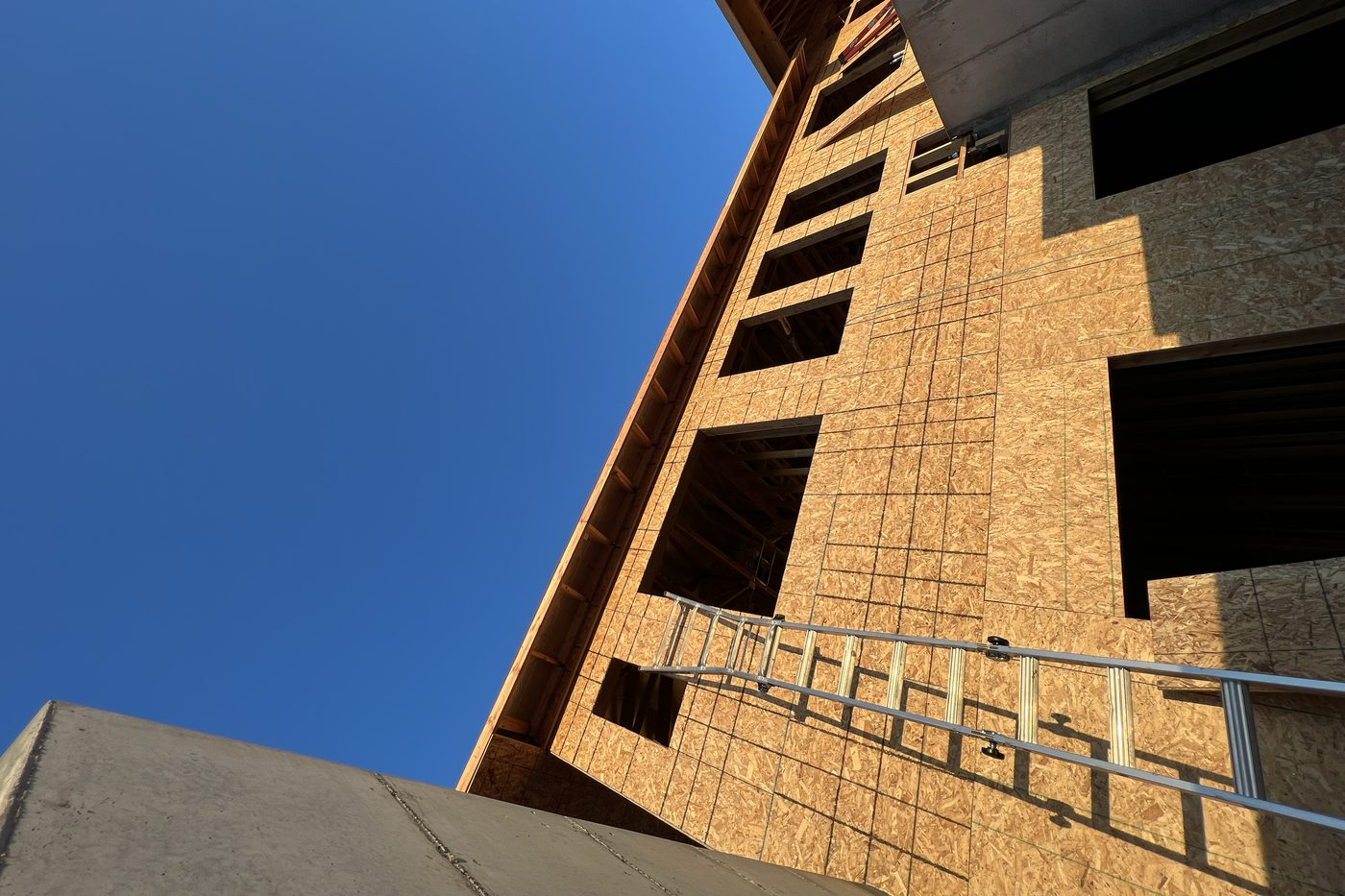 Tall sheathed wall of a multi-story building with a ladder and window openings